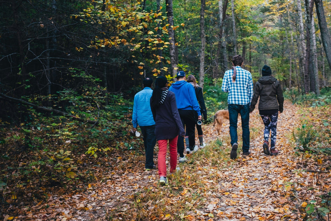 Step into Self-Care: Join This Girl Can Organise for Monthly Walks.