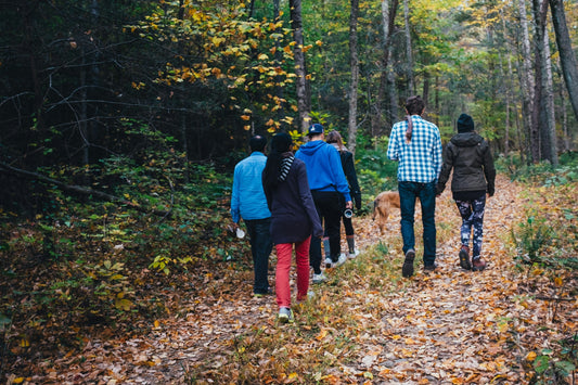 Step into Self-Care: Join This Girl Can Organise for Monthly Walks.